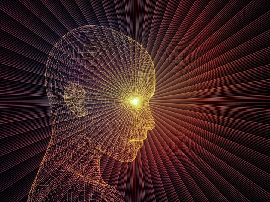 So You Just Woke Up. Now What?