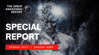 SPECIAL REPORT | SHADOW SELF : SHADOW WORK