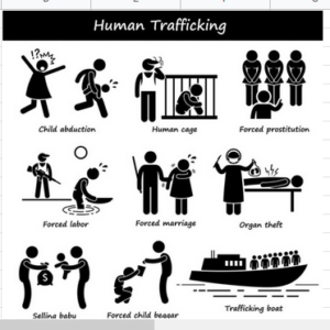 Trafficking Chart