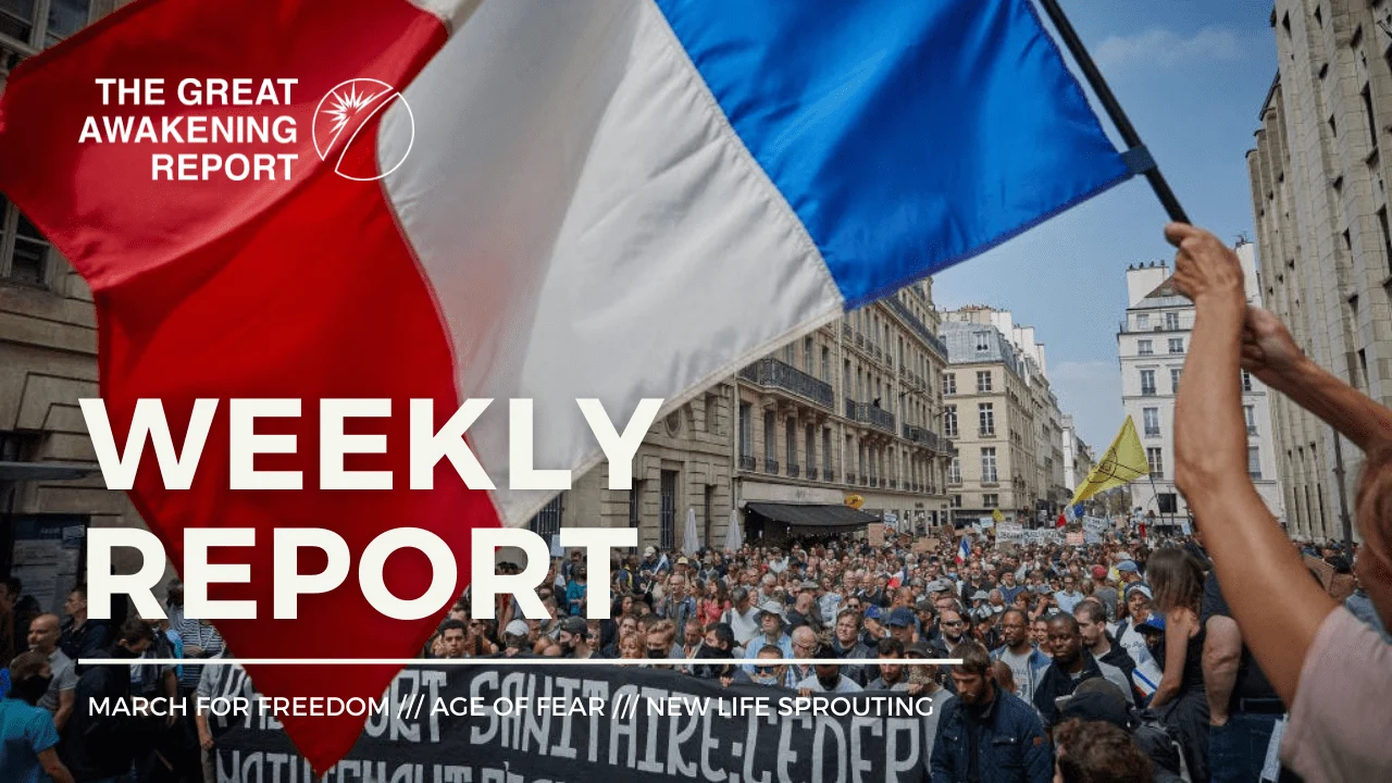 THE GLOBAL MARCH FOR FREEDOM, THE AGE OF FEAR, A NEW LIFE SPROUTING