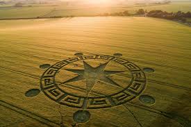 crop circles 2021