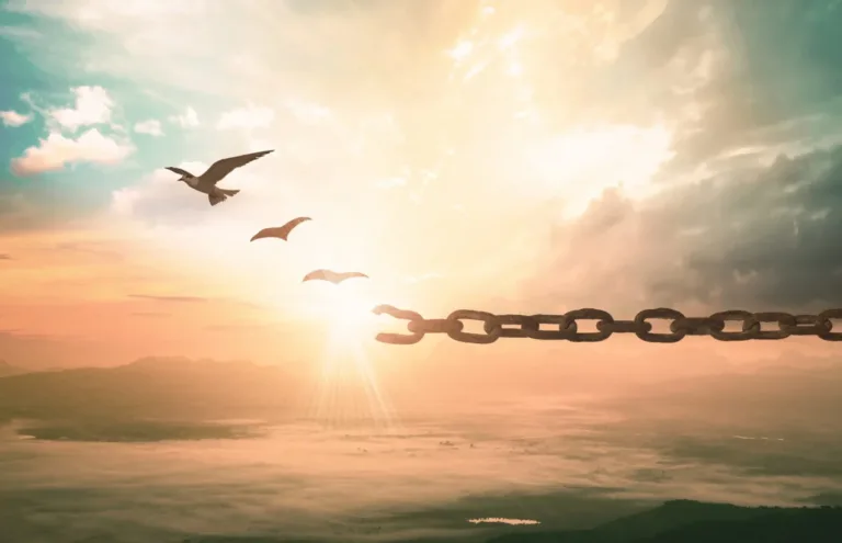 Navigating Connections & Attachments