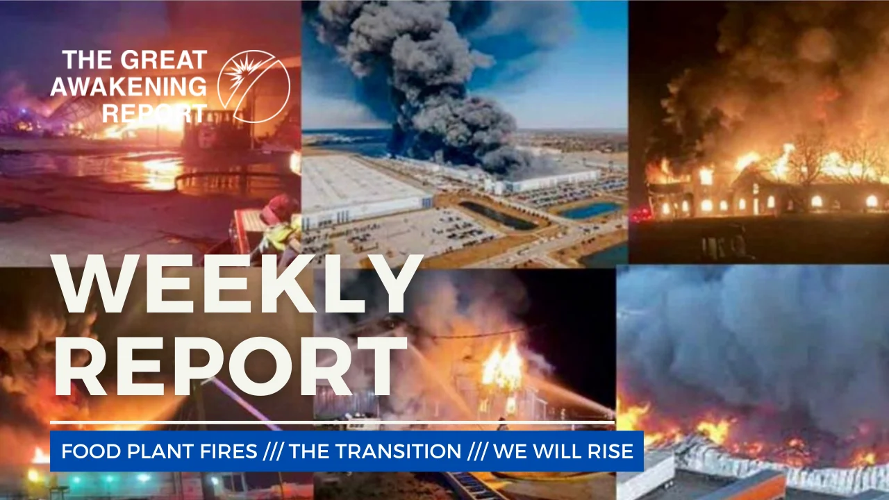 WEEKLY REPORT - Great Awakening Report