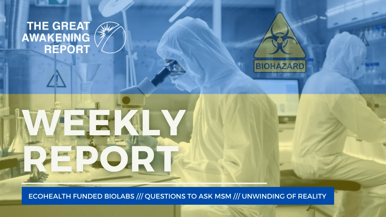 WEEKLY REPORT - Great Awakening