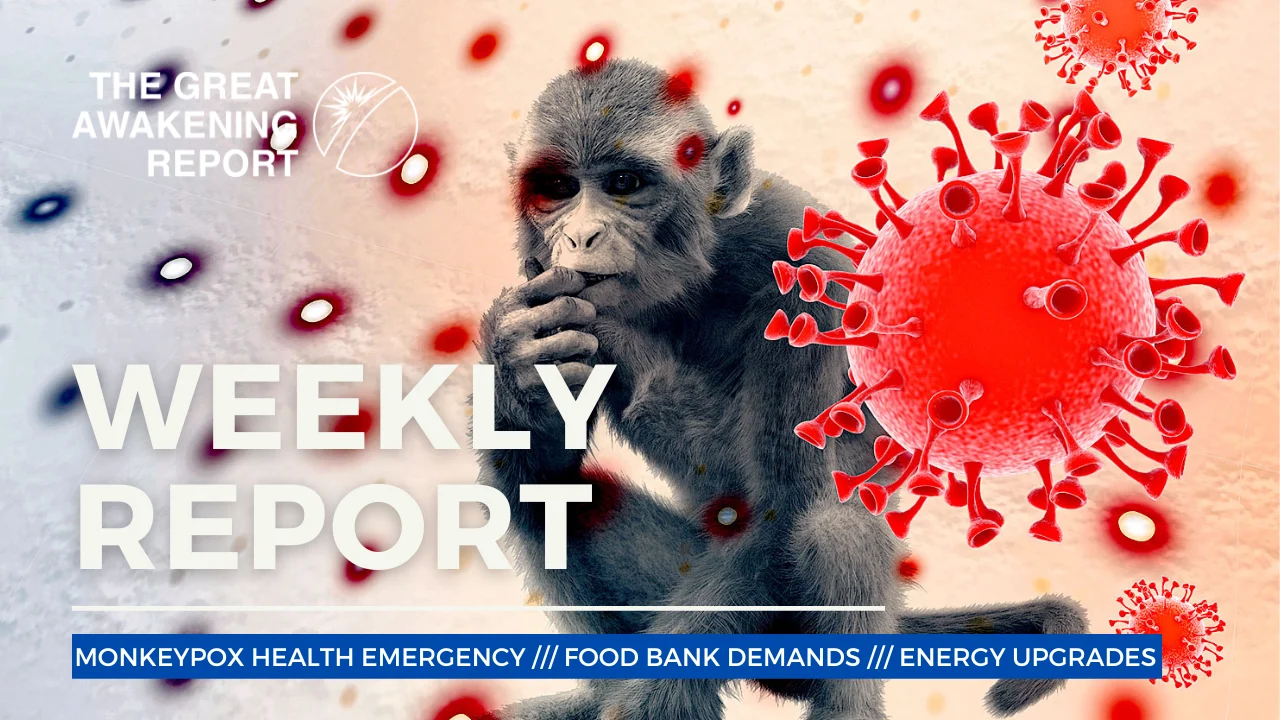 WEEKLY REPORT WEEKLY REPORT