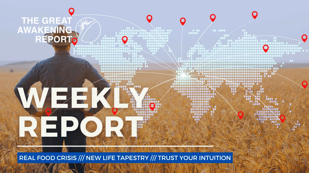 WEEKLY REPORT - REAL FOOD CRISIS - NEW LIFE TAPESTRY - TRUST YOUR INTUITION