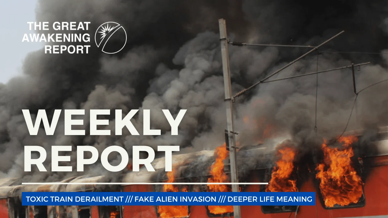 WEEKLY REPORT WEEKLY REPORT