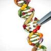 DNA altering food