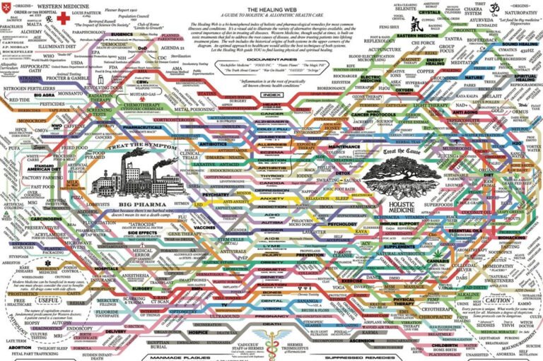 The Healing Web