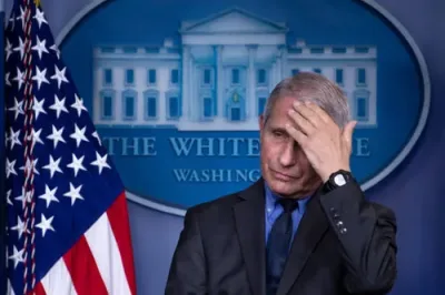 fauci charges