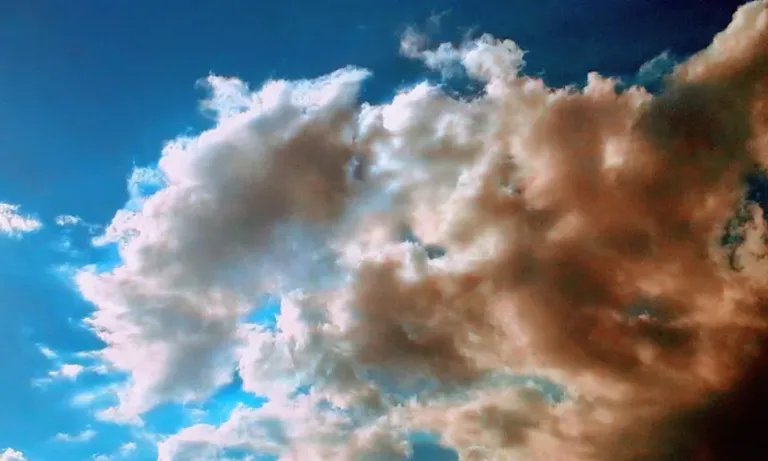 Just Look Up