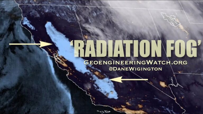 Radiation Fog