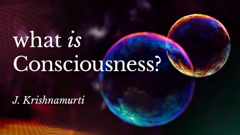 What Is Consciousness?